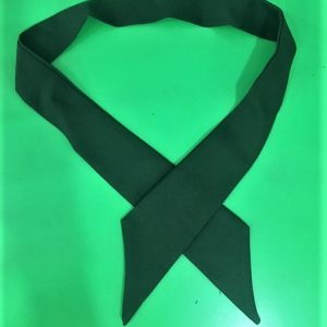 Corbata verde Femenina Colegio Siglo XXI