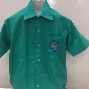 Camisas Verde Gertrudys de Jesus